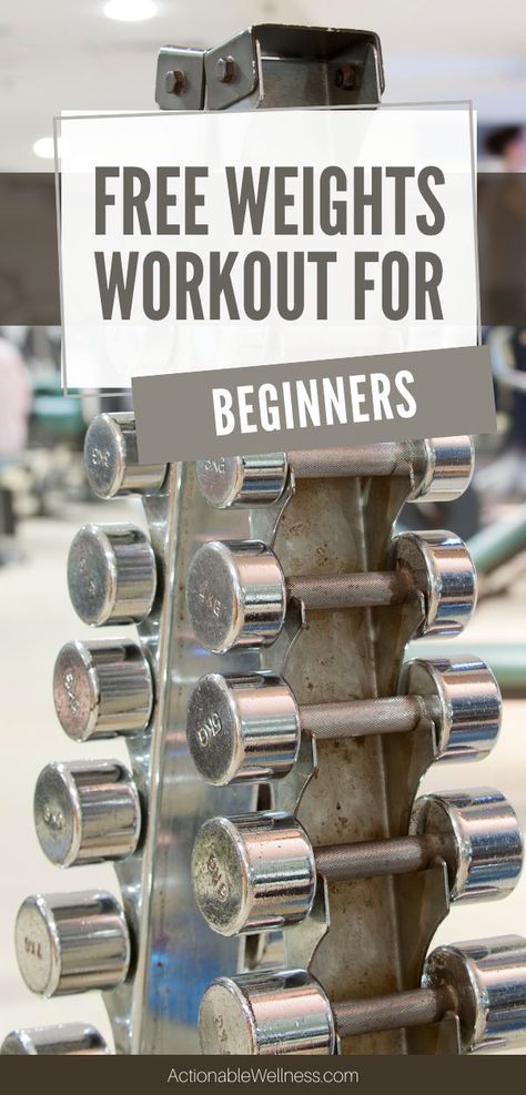 Free Weights Workout for Beginners-Actionable Wellness Free Weights Workout, Weightlifting For Beginners, Weight Training For Beginners, Easy Workouts For Beginners, Free Weight Workout, Dumbell Workout, Full Body Workout At Home, Building Strength, Workout At Work