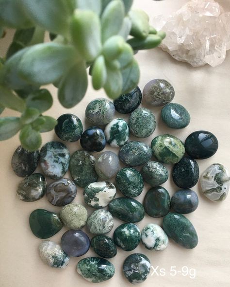 Miss Agate, Rock Village, Crystals Collection, Moss Agate Crystal, Moss Agate Stone, Pretty Rocks, Cool Rocks, Gadgets And Gizmos, Stone Age