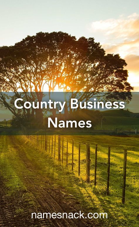 Western Beauty Salon Names, Western Store Names Ideas, Western Store Names, Western Boutique Names Ideas, Wedding Venue Names Ideas, Western Hair Salon Names, Southern Names For Business, Country Username Ideas, Farm Shop Ideas Country Stores