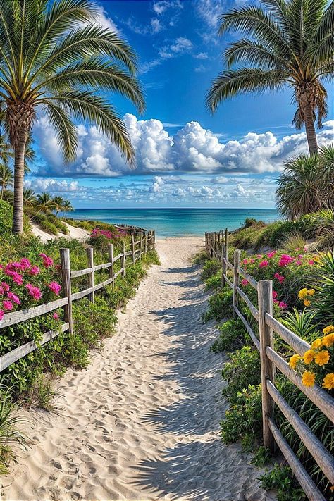 Beach Path, Trees And Flowers, Beautiful Ocean Pictures, Exotic Beaches, Ocean Pictures, Best Resorts, Beautiful Ocean, Alam Yang Indah, Tropical Beach