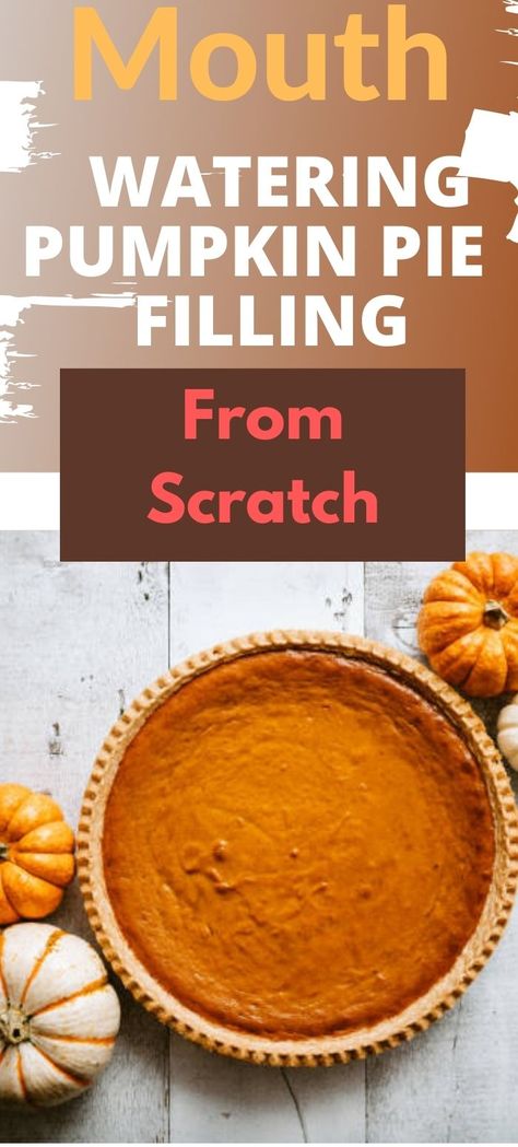 Pumpkin Pie Filling From Scratch, Freezing Pumpkin, Mini Pie Recipes, Home Canning Recipes, Pie Filling Recipes, Leftover Pumpkin, Homemade Pumpkin Pie, Delicious Family Meals, Single Mom Life