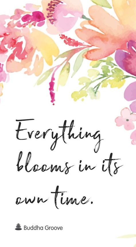 Inspiration for Bloom  #gardeningquotes Check more at http://decoration.stream/inspiration-for-bloom/ Beautiful Flower Quotes, Ftd Flowers, Bloom Quotes, Floral Quotes, Spring Quotes, Garden Quotes, Flower Quotes, Nature Quotes, A Quote