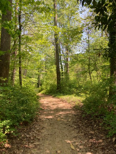 #trails #hikemore #scenery #quietlife Nature Trail Aesthetic, Hiking Trail Aesthetic, Trails Aesthetic, Trail Running Aesthetic, Trail Aesthetic, Movement Motivation, Twitter Ideas, Trail Photography, Hiking Path