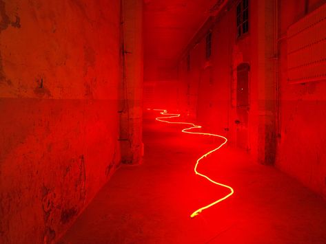 Neon Rouge, Cool Neon Signs, Red Aesthetic Grunge, Light Art Installation, Studio Photography Fashion, Different Shades Of Red, Neon Words, A Love So Beautiful, Neon Aesthetic