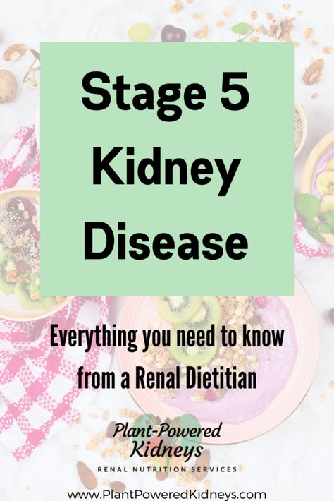 Stage 5 Ckd Recipes, Low Potassium Meats, Ckd Diet Recipes, Kidney Friendly Recipes Renal Diet, Kidney Diet Recipes, Kidney Detox Cleanse, Low Potassium Diet, Renal Diet Recipes, Kidney Detox