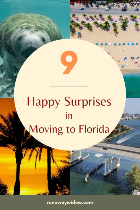 Moving To The Beach, Moving To Florida Party, Moving To Florida Aesthetic, Move To Florida Quotes, Moving To Usa, Move To Florida, Moving To Florida Announcement, Where To Move U.s. States, Visit Alaska