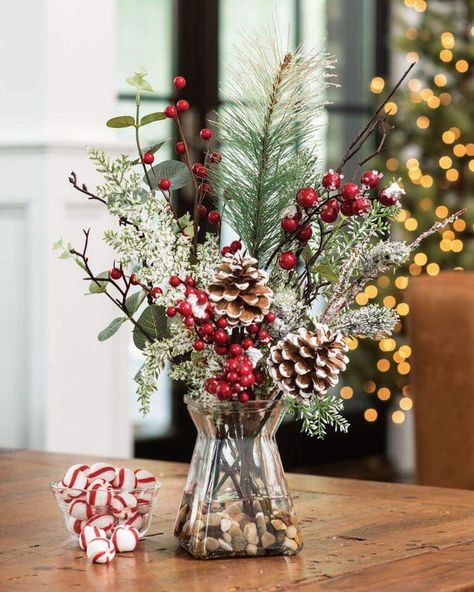 Pine cone bird feeder