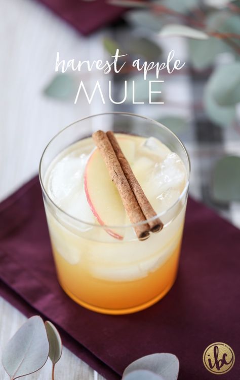 Apple Mule, Fall Cocktail Recipes, Apple Cider Cocktail, Apple Cocktail, Fall Cocktails Recipes, Cider Cocktails, Fall Cocktail, Seasonal Cocktail, Best Cocktail Recipes