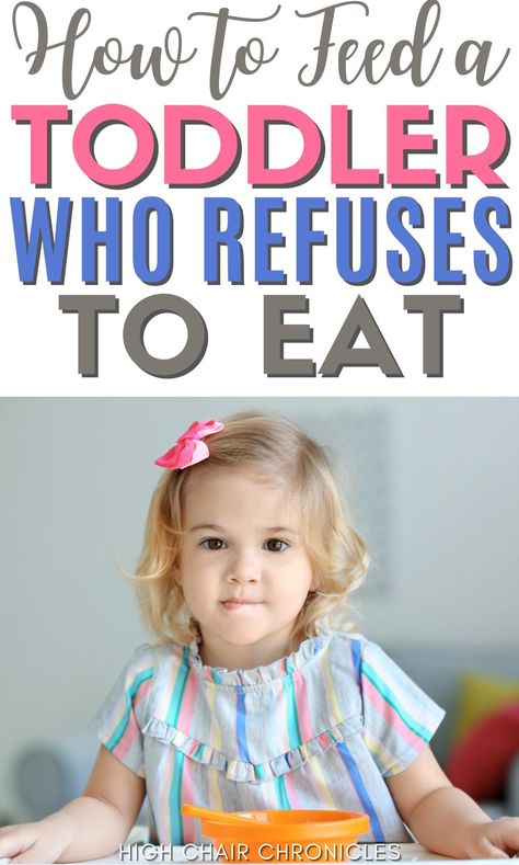 Toddler Won’t Eat, Toddler Wont Eat, Picky Eating Toddler, Mexican Spice, Toddler Picky Eater, Picky Toddler Meals, Toddler Speech, Toddler Dinner, Toddler Hacks