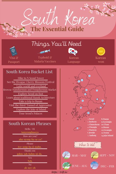 A quick and quentessential infographic guide to South Korea. South Korea Travel Map, South Korea Dream Destination, Must Visit Places In South Korea, Where To Go In South Korea, South Korea Famous Places, South Korea Festivals, Trip To Seoul South Korea, South Korea Vacation Aesthetic, Travelling To South Korea