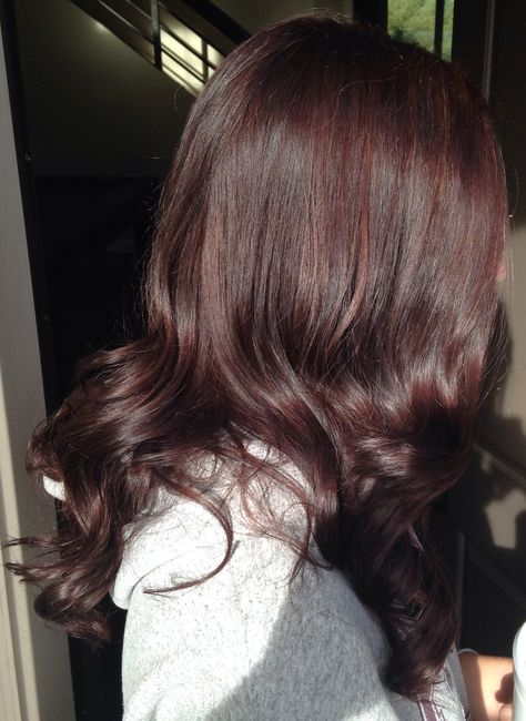 Cherry Brown Hair, Summer Hair Color Ideas, Mahogany Hair, Bombshell Hair, Trendy Shades, Wine Hair, Red Hair Inspo, Brown Hair Looks, Cherry Hair