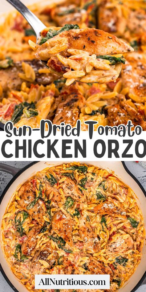 Creamy Sun-Dried Tomato Chicken Orzo Easy Group Recipes, Chicken Orzo With Sundried Tomato, Chicken Spinach Tomato Orzo, Creamy Sun Dried Tomato Chicken Orzo, Chicken Orzo One Skillet, Easy Recipes Dinner Dairy Free, Best High Protein Dinners, Creamy Sundried Tomato Chicken Orzo, Chicken Orzo Sun Dried Tomato