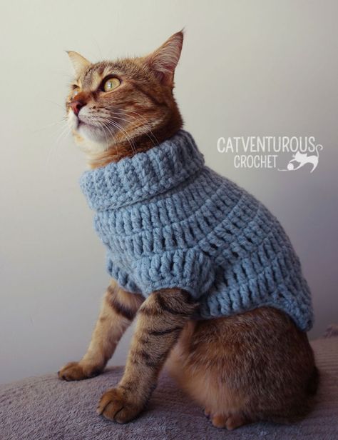 Cat Sweater Pattern, Crochet Dog Hat, Kat Haken, Kitten Sweater, Dog Sweater Crochet Pattern, Crochet Cat Hat, Crochet Dog Sweater, Crochet Sweater Pattern Free, Sweater Patterns