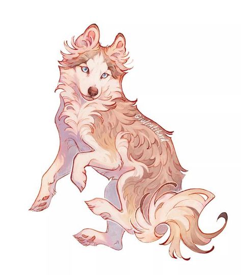 Husky Drawing, Pomeranian Husky, Dog Design Art, Canine Drawing, 동화 삽화, 강아지 그림, Canine Art, Mythical Creatures Art, Creature Concept Art