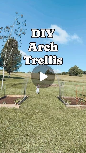 Andrea on Instagram: "DIY arch trellis by using cattle paneling and t posts was such an inexpensive and quick way to achieve my dream garden bed archway. I am looking forward to how much more room we will have in our garden with all the veggies that like to crawl can now go up and save room on the ground. What would you plant to fill in the trellis? 

#gardening #garden #diy #diygardening #trellis #archtrellis #arch #archway #magical #pumpkins #vegtables #vegtablegarden #fyp #fypage #tennessee #jonesboroughtn #countryliving #southernliving" Gardens With Arches, How To Make A Rose Arch, Diy Garden Archway Ideas, Diy Garden Arch Cheap, Garden Arch Diy Simple, Diy Arched Trellis, Pvc Garden Arch, Diy Garden Archway, Diy Garden Arch Trellis