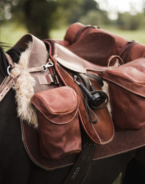 Trail Riding Saddle, Saddlebags Horse, Horse Saddle Bags, Dragon Saddle, Saddle Bags Horse, Horse Adventure, Trail Saddle, Equestrian Shop, Saddle Accessories