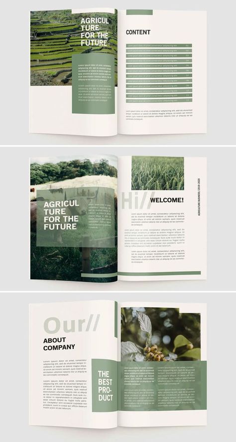 Research Booklet Design, 2023 Magazine Design, Case For Support Design, Green Brochure Design Layout, Company Booklet Design Layout, Magazine Layout Design Colorful, One Color Graphic Design, Profile Book Design, Graphic Design Report Layout