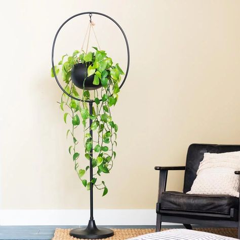 Check Out Magnolia's New Summer 2020 Collection! | POPSUGAR Home Joanna Gaines Design, Hanging Plant Stand, Magnolia Table, Plant Stand Indoor, Hanging Plant, Magnolia Homes, Hanging Pots, Unique Doors, Plant Lady