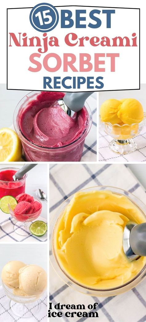 Ninja Creami Sorbet, Ice Cream Maker Recipes Healthy, Ninja Ice Cream Recipe, Frozen Fruit Recipes, Sherbet Recipes, Pineapple Sorbet, Healthy Ice Cream Recipes, Fruit Sorbet, Ice Cream Maker Recipes