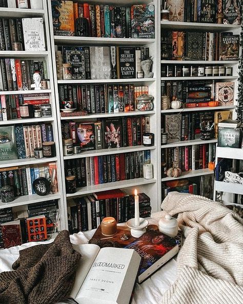 Witchy Bookshelf Aesthetic, Bookish Shelf Decor, Aesthetic Room With Books, Library Book Shelves Aesthetic, Dream Home Library Aesthetic, Fantasy Book Shelves, Fantasy Bookshelf Aesthetic, Acotar Bookshelf Decor, Fantasy Bookshelf Decor