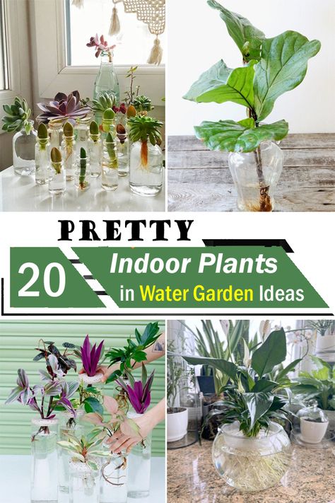 Indoor Water Plants Glass Vase, Hydroponic House Plants Ideas, Indoor Plants In Water, Water Garden Ideas, Interior Gardens, Hydro Plant, Water Plants Indoor, Plants Grown In Water, Small Water Gardens