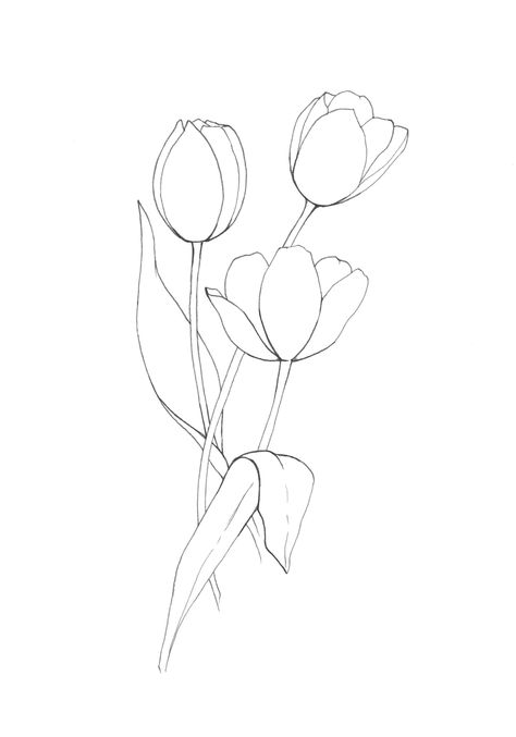 watercolorartprint #beginnerswatercolorbutter Tulips Design Drawing, Tulip Floral Design, Tracing Designs For Painting, Tulip Outline Drawing, Tulip Outline Tattoo, Painting Outlines Free Printable, Tulip Coloring Pages, Yellow Tulips Drawing, Tulips Drawing Sketch