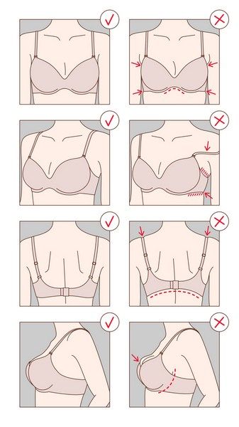 bra fitting techniques Mckenzie Exercises, Bra Guide, Bra Size Chart, Human Anatomy Female, Breast Sizes Chart, Types Of Bras, Bra Organization, Anatomy Female, Female Hygiene