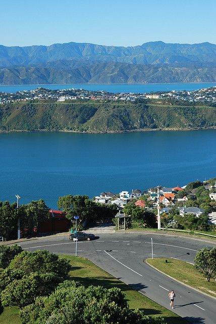 A beautiful view from Mount Victoria Lookout, Wellington, New Zealand. New Zealand Landscape, New Zealand Houses, Wellington New Zealand, Fairy Queen, The Windy City, New Zealand Travel, Palau, South Island, Bougainvillea