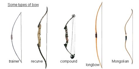 Types of Compound Bows Different Types Of Bows, Archery Training, Archery Tips, Bows And Arrows, Recurve Bows, Cheap Hobbies, Types Of Bows, Archery Bows, Hobbies For Women