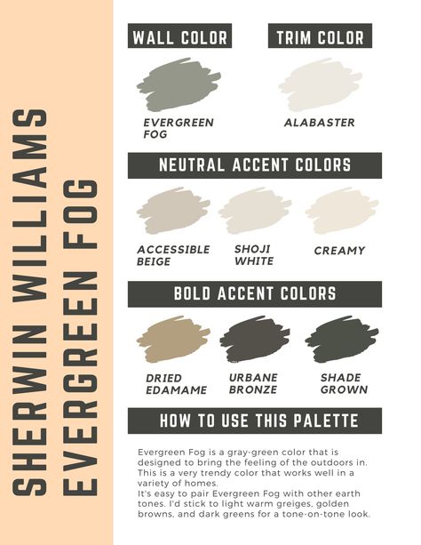 sherwin williams evergreen fog paint color palette Cavern Clay Sherwin Williams, Accessible Beige Sherwin Williams, Terra Cotta Paint Color, Iron Ore Sherwin Williams, Cavern Clay, Interior Paint Palettes, Evergreen Fog, Sherwin Williams Alabaster, Accessible Beige