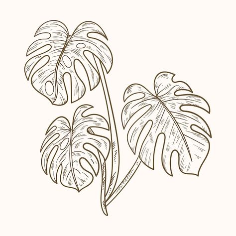 Monstera Drawn, Monstera Plant Sketch, Cheese Plant Tattoo, Philodendron Tattoo, Monstera Leaf Outline, Monstera Leaf Drawing, Plant Scrapbook, Amy Tattoo, Monstera Line Art