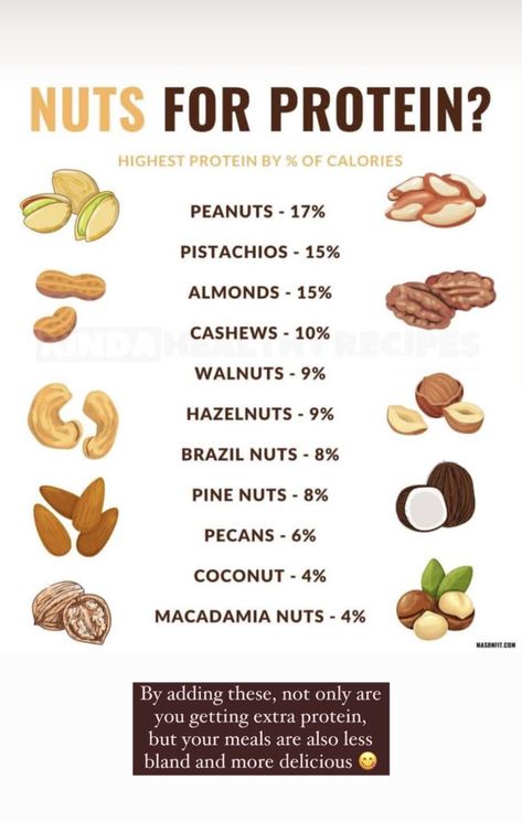 Protein In Nuts And Seeds, Protein Nuts And Seeds, High Protein Nuts And Seeds, Healthy Nuts And Seeds, Healthy Protein Breakfast, Healthy Weight Gain Foods, Protein Rich Diet, Healthy Protein Meals, Healthy Protein Snacks