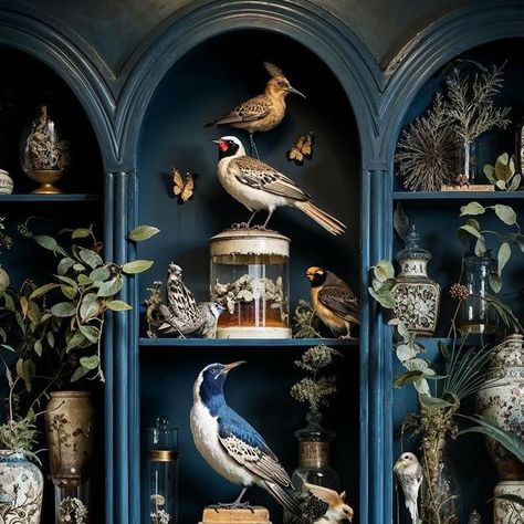 Tracy Porter Home, Collectible Display Ideas, Curiosity Cabinet, Naturalist Decor, Dream Home Library, Botanical Bedroom, Tracy Porter, Cabinet Of Curiosity, Taxidermy Decor