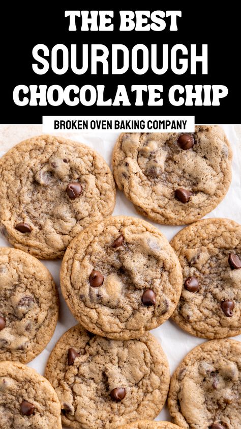 Sourdough Discard Chocolate Chip Cookies, Discard Chocolate Chip Cookies, Sourdough Chocolate Chip Cookies, Dough Starter, Sourdough Starter Discard Recipe, Homemade Sourdough Bread, Sourdough Starter Recipe, Baking Recipe, Sourdough Discard