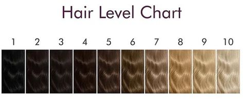 Hair_level_chart_480x480.webp (480×210) Hair Level Chart, Hair Color Levels, Hair Levels, Birth Colors, Color Scale, Men Hair, Rustic Colors, Hair Colours, Level 3