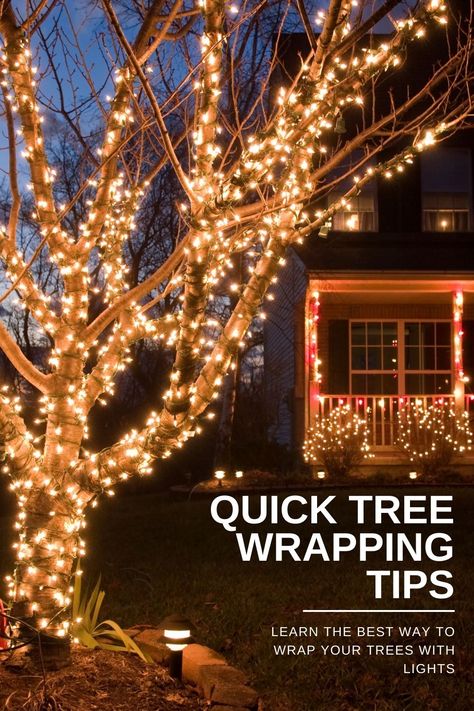 Wrapping one or several trees with lights is an easy way to elevate the atmosphere in your outdoor spaces during any season. Outdoor Tree Lighting, Christmas Lights Outside, Hanging Christmas Lights, Christmas House Lights, Outdoor Fairy Lights, Outdoor Trees, Solar Fairy Lights, Christmas Lighting, Xmas Lights