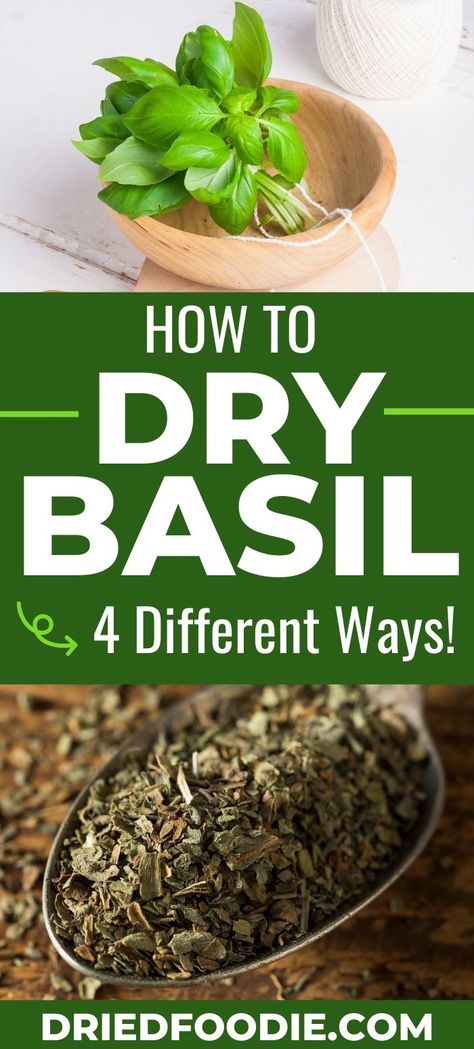 Preserving Basil, Preserve Fresh Herbs, Dry Basil, Drying Fresh Herbs, Dried Basil Leaves, Preserving Herbs, Basil Recipes, Dried Basil, Basil Plant