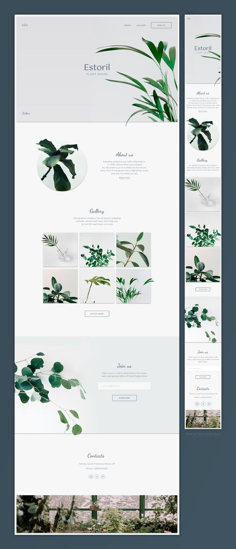 Plant Shop Web Design, Plant Web Design, Plant Website Design Inspiration, Gardening Website Design, Nature Web Design, Plant Website Design, Nature Website Design, Green Website Design, Plant Website