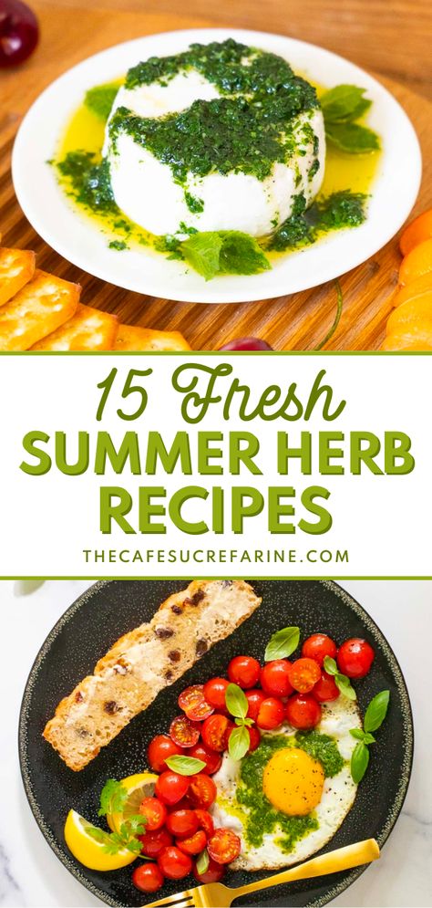 These 15 Fresh Summer Herb Recipes create bright, refreshing recipes that range from sweet to savory flavors! With lots of basil, thyme, rosemary, mint, and more, you can create so many new recipes. There's everything from fresh sauces to salad dressings and even cookies. Make these recipes and enjoy them all summer long! Things To Do With Fresh Basil, Fresh Herbs Recipes, Sage Herb Recipes, Herb Salad Recipes, Recipes For Fresh Basil, Recipes Using Fresh Herbs, Summer Savory Herb Recipes, Lime Basil Recipes, What To Make With Fresh Basil