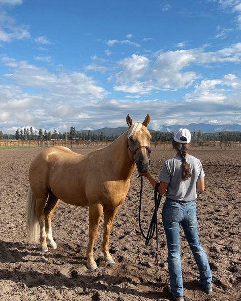 we’re just girls #horses #horselover #ranchlife #cowboylife #horsegirl #montana #ranching #horsemanship #equestrian #quarterhorse Ranch Girl, Farm Outfit, Cowboy Aesthetic, Boys Life, Ranch Life, Cow Girl, Quarter Horse, July 1, Horse Girl