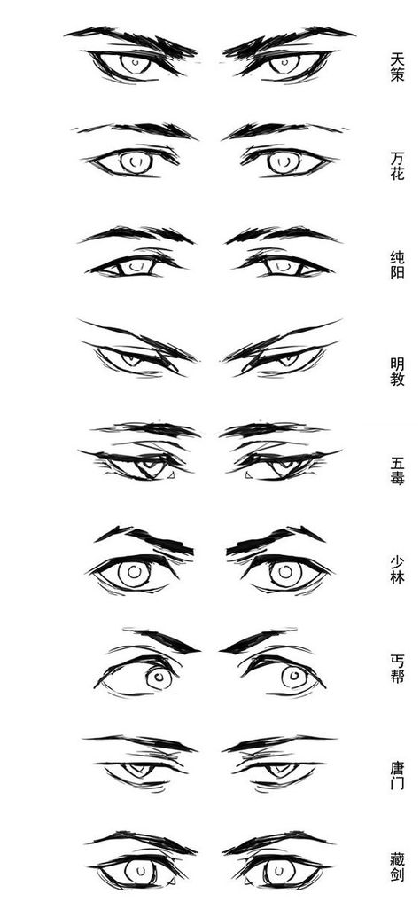 Mata Manga, Regard Animal, Eye Anatomy, Realistic Eye Drawing, 얼굴 드로잉, Eye Drawing Tutorials, Drawing Eyes, Drawing Hair, Seni Dan Kraf