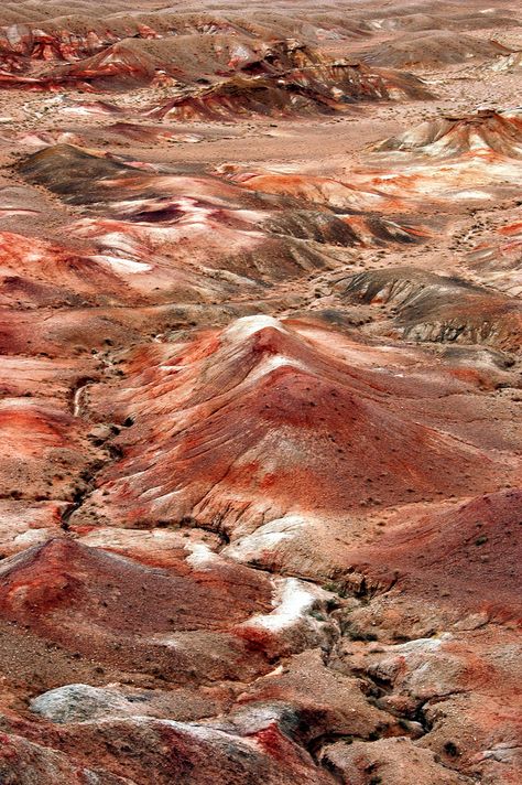 Gobi Desert, Mongolia Deserts Of The World, Gobi Desert, Bhutan, Desert Landscaping, In The Desert, Mongolia, Asia Travel, Iraq, The Desert