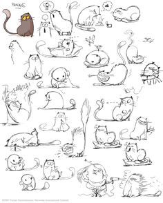 Illustration Kunst, Drawing Faces, 캐릭터 드로잉, Art Et Illustration, Cat Eyes, Sketch Art, Drawing Tutorials, Character Design References, Cat Drawing