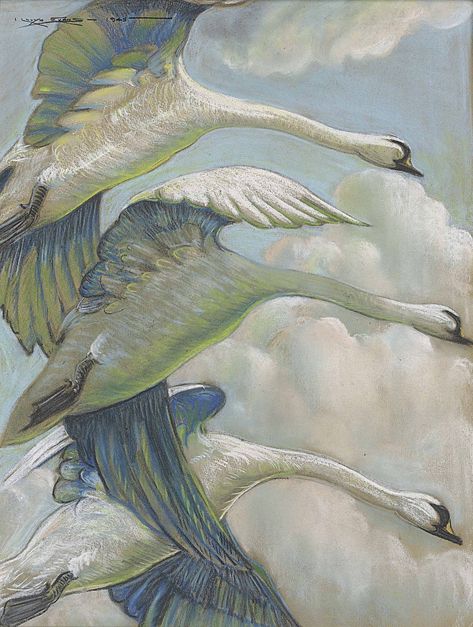 Three Swans in Flight, David Lloyd Evans, 1945 Art Assessment, Swans Art, 동화 삽화, Art Pastel, Needful Things, Arte Animal, Clay Sculpture, In Flight, Swans