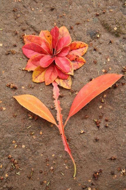 Land Art Ideas, Backyard Decorating Ideas, Backyard Decorating, Nature Mandala, Ephemeral Art, Andy Goldsworthy, Magic Land, Theme Nature, Outdoor Education