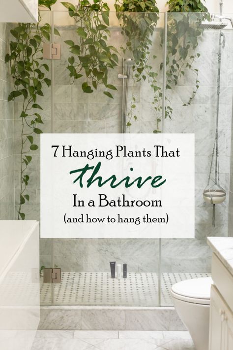 Bathroom Plants Decor, Plants Growing, Inside Plants, Growing Plants Indoors, Bathroom Plants, Plant Decor Indoor, House Plants Decor, House Plants Indoor, Plant Mom