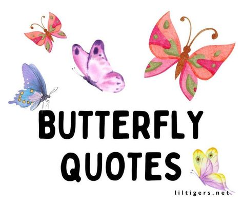 110 Best Butterfly Quotes for Kids Quotes About Butterflies, Butterfly Sayings, Sayings For Kids, Funny Butterfly, About Butterflies, Butterfly Quotes, Stem Projects, Butterfly Kisses, Creative Activities For Kids