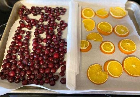 Mommy's Kitchen : Dried Orange - Cranberry Stove Top Potpourri Drying Apples For Potpourri, How To Dry Orange Slices In Dehydrator, Drying Fruit For Simmer Pot, Cranberry Orange Potpourri Stove Gift, Dried Cranberries For Potpourri, Orange Cranberry Potpourri, Homemade Dried Potpourri, Cranberry And Orange Potpourri, Cranberry Orange Cinnamon Potpourri