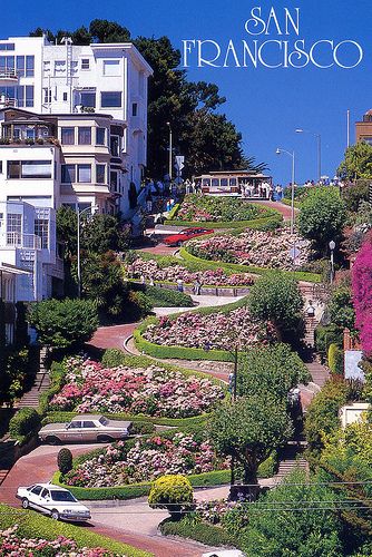 SAN FRANCISCO - Lombard Street - Californie by Michel27, via Flickr Lombard Street San Francisco, Lombard Street, Pacific Coast Highway, Incredible Places, San Francisco Bay Area, Places Around The World, Wonderful Places, Vacation Spots, Dream Vacations