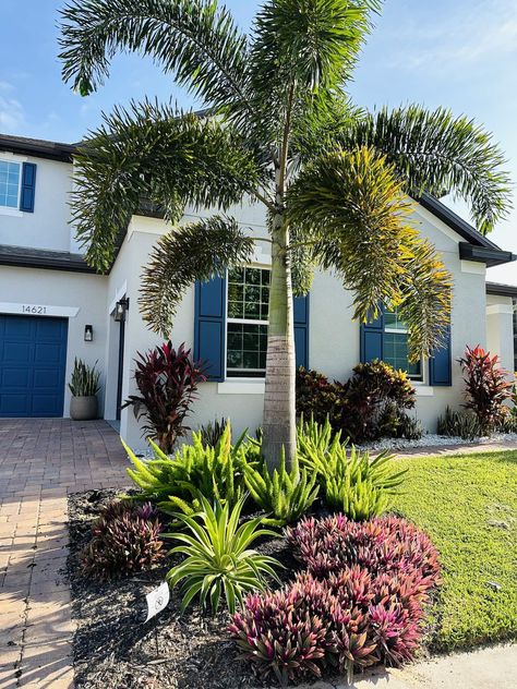 20 Best Landscaping Ideas for a Large Front Yard (2024) Best Landscaping Ideas, Florida Plants Landscaping, Full Sun Landscaping, Front Lawn Landscaping, Palm Trees Landscaping, Coastal Landscaping, Florida Landscape, Florida Landscaping, Florida Plants